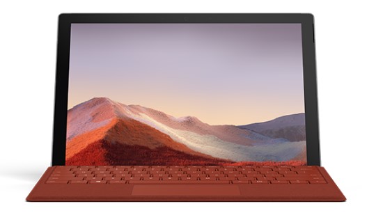 凭祥清洁和维护 Surface